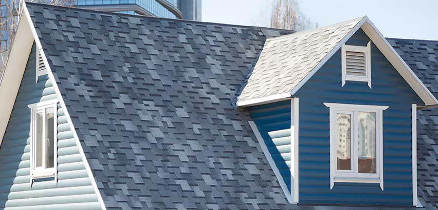 Shingle Roof Maintenance in Gurnee