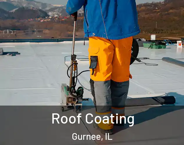  Roof Coating Gurnee, IL