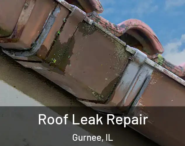  Roof Leak Repair Gurnee, IL
