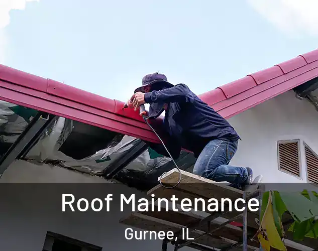  Roof Maintenance Gurnee, IL