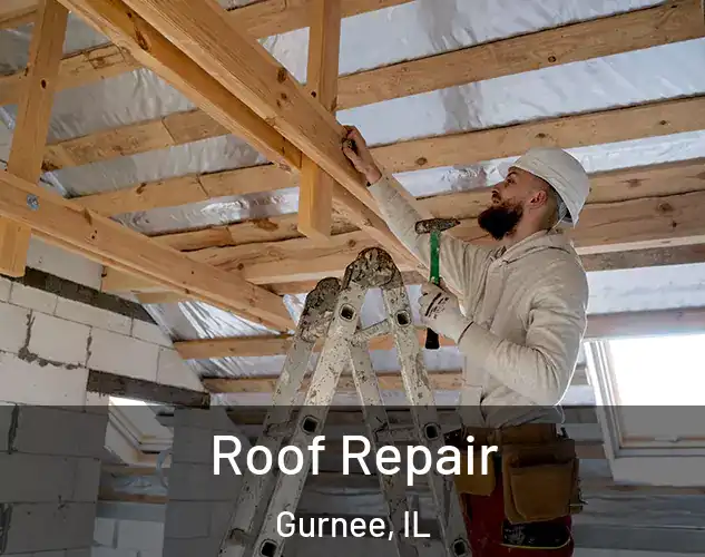  Roof Repair Gurnee, IL